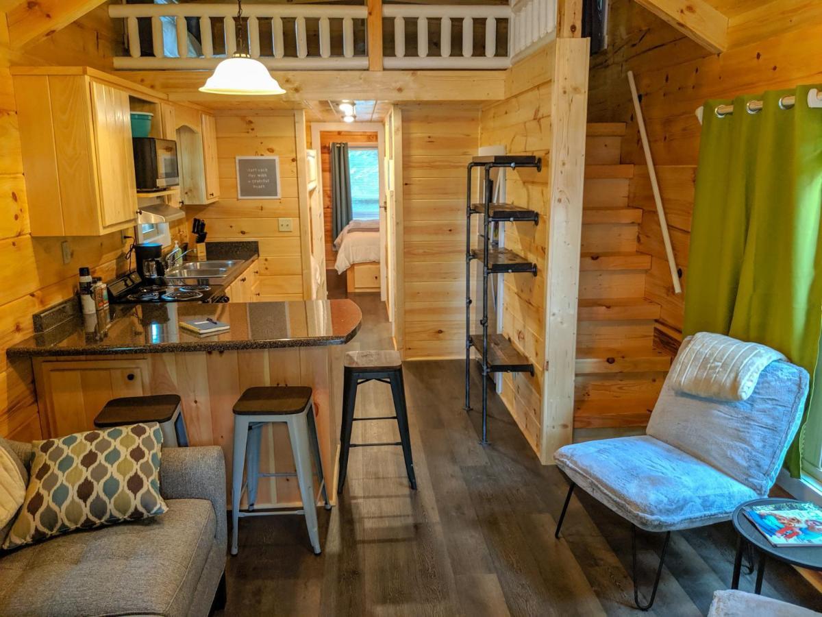 Elise Cabin Forest Retreat 5 Mins To Downtown Чаттануґа Екстер'єр фото