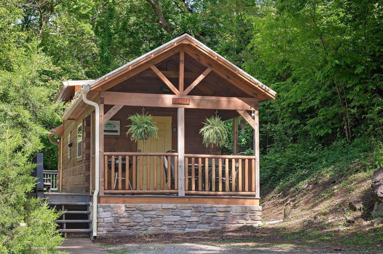 Elise Cabin Forest Retreat 5 Mins To Downtown Чаттануґа Екстер'єр фото
