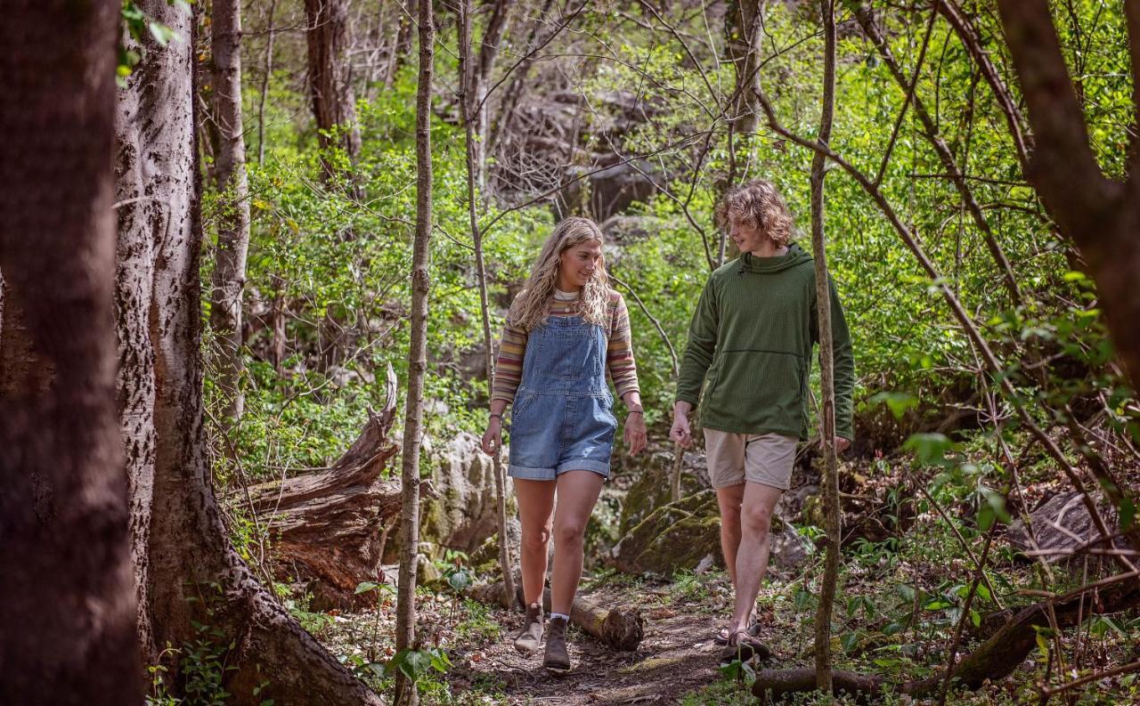 Elise Cabin Forest Retreat 5 Mins To Downtown Чаттануґа Екстер'єр фото