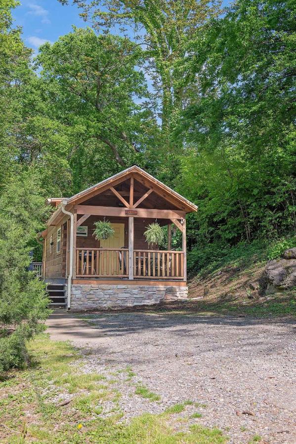 Elise Cabin Forest Retreat 5 Mins To Downtown Чаттануґа Екстер'єр фото